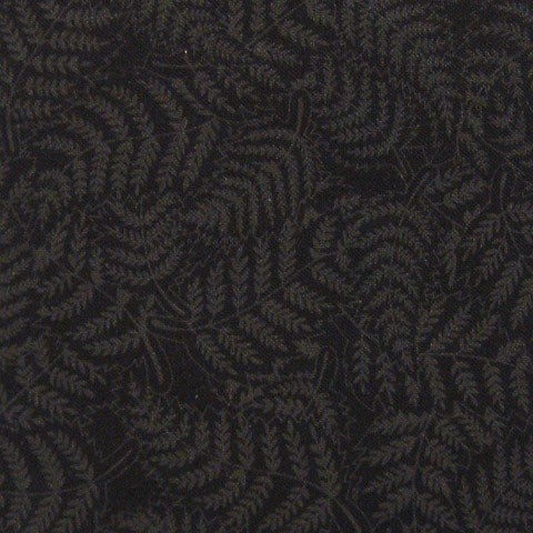 Ferns