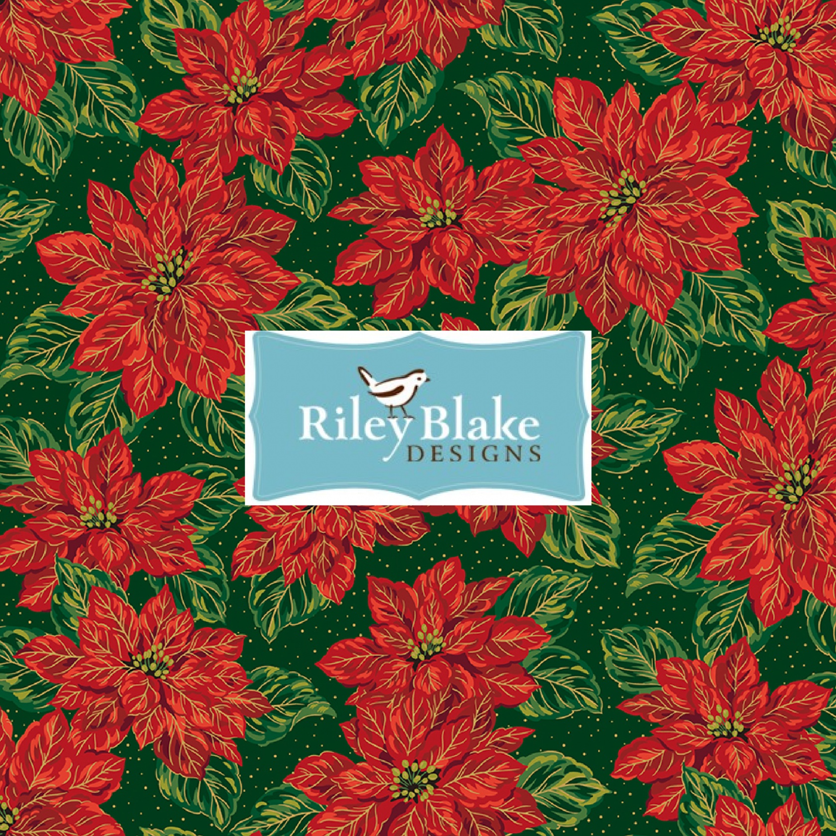 Poinsettias at Christmas - Due July/Aug