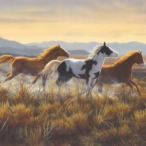Wild Horses 